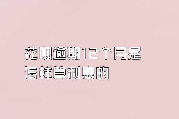 花呗逾期12个月是怎样算利息的