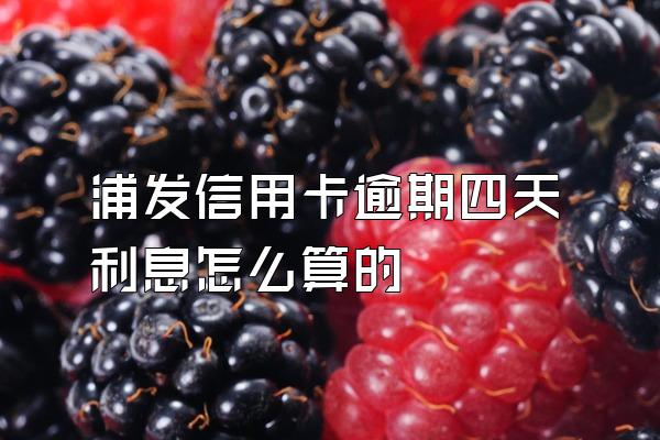 浦发信用卡逾期四天利息怎么算的
