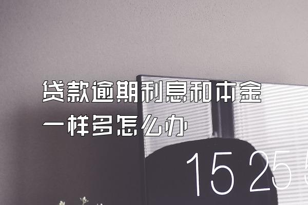 贷款逾期利息和本金一样多怎么办