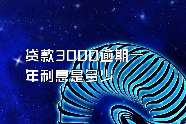 贷款3000逾期一年利息是多少