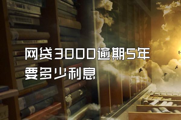 网贷3000逾期5年要多少利息