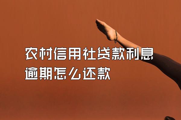 农村信用社贷款利息逾期怎么还款