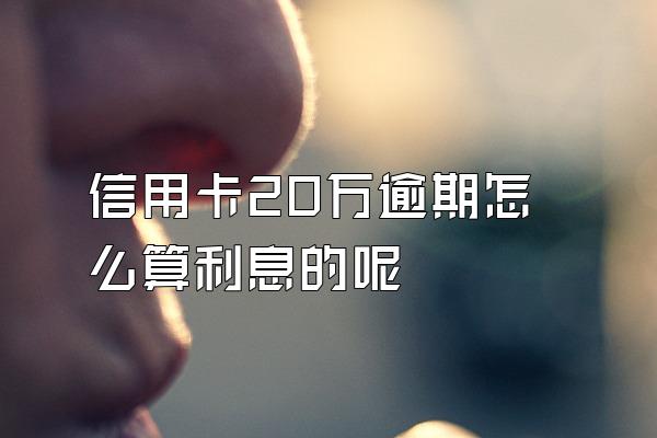 信用卡20万逾期怎么算利息的呢