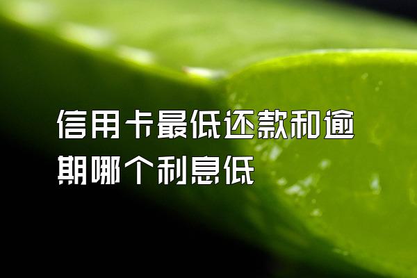信用卡最低还款和逾期哪个利息低
