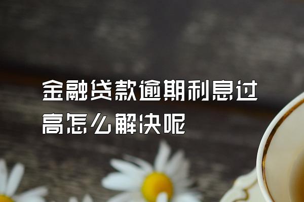 金融贷款逾期利息过高怎么解决呢
