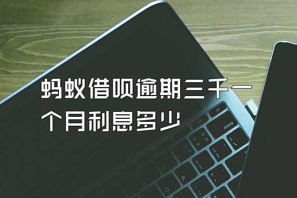 蚂蚁借呗逾期三千一个月利息多少