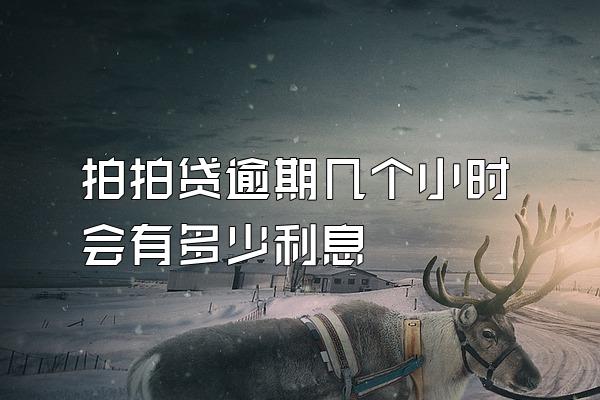 拍拍贷逾期几个小时会有多少利息