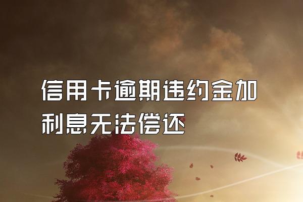 信用卡逾期违约金加利息无法偿还