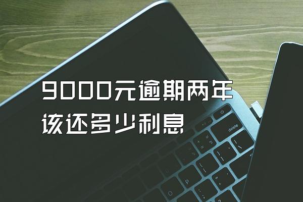 9000元逾期两年该还多少利息