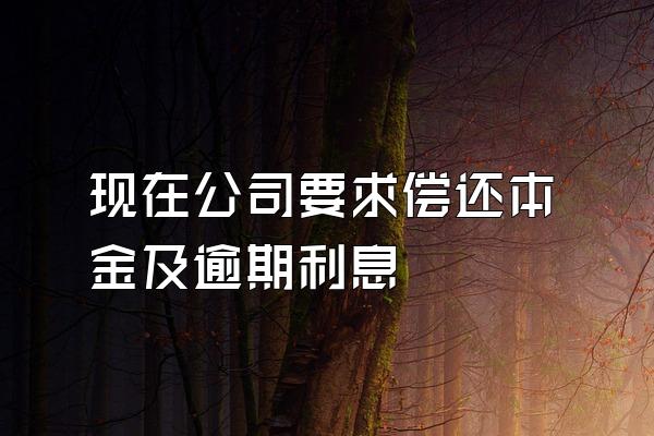 现在公司要求偿还本金及逾期利息