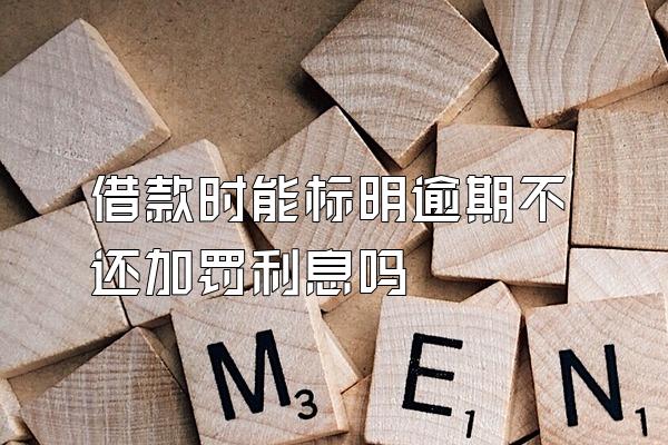 借款时能标明逾期不还加罚利息吗