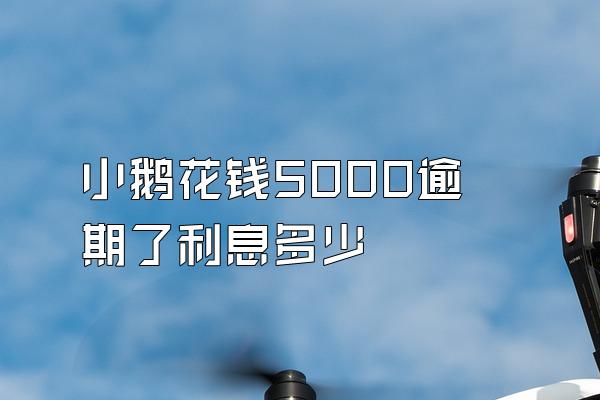 小鹅花钱5000逾期了利息多少