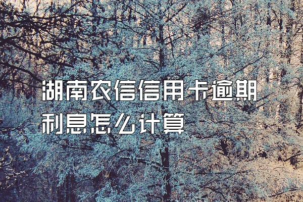 湖南农信信用卡逾期利息怎么计算