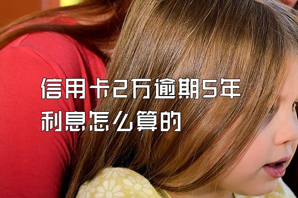 信用卡2万逾期5年利息怎么算的
