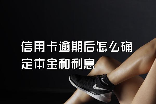 信用卡逾期后怎么确定本金和利息