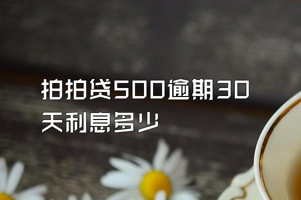 拍拍贷500逾期30天利息多少