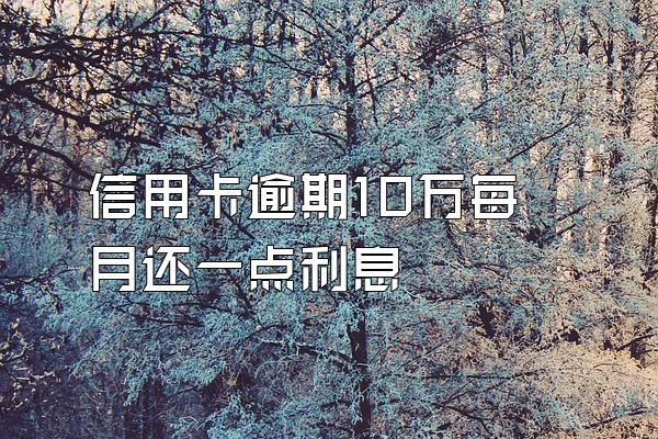 信用卡逾期10万每月还一点利息