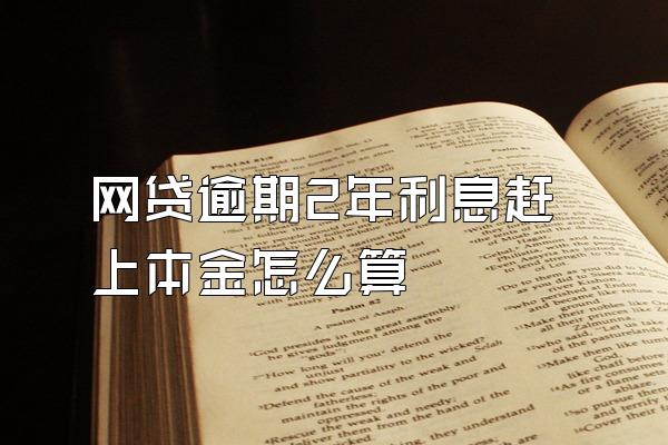 网贷逾期2年利息赶上本金怎么算