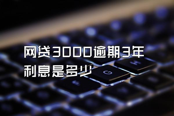 网贷3000逾期3年利息是多少