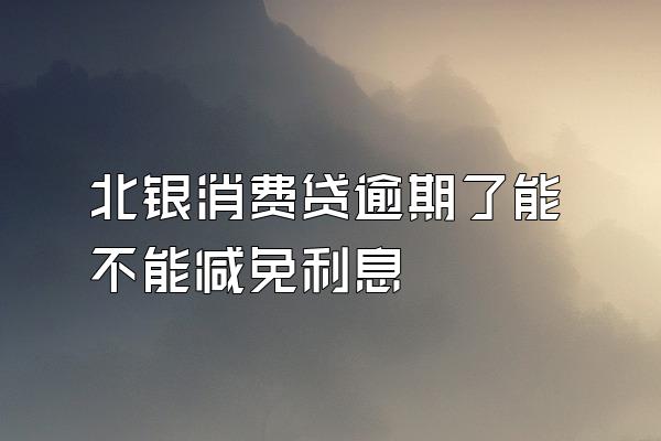 北银消费贷逾期了能不能减免利息
