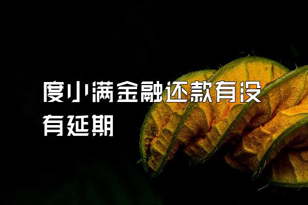 度小满金融还款有没有延期