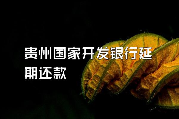 贵州国家开发银行延期还款