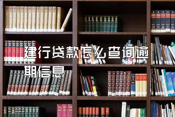 建行贷款怎么查询逾期信息
