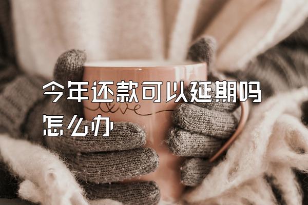 今年还款可以延期吗怎么办