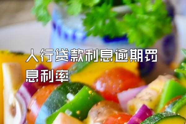 人行贷款利息逾期罚息利率