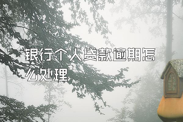 银行个人贷款逾期怎么处理