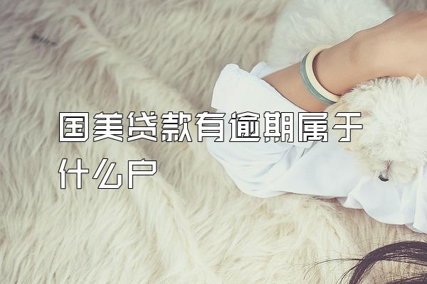 国美贷款有逾期属于什么户