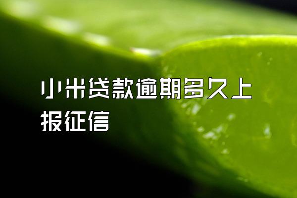 小米贷款逾期多久上报征信