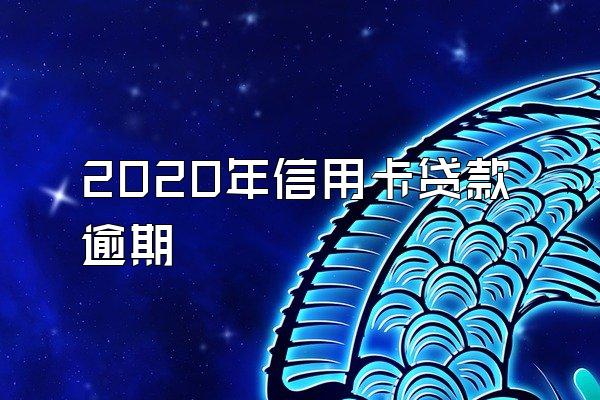 2020年信用卡贷款逾期