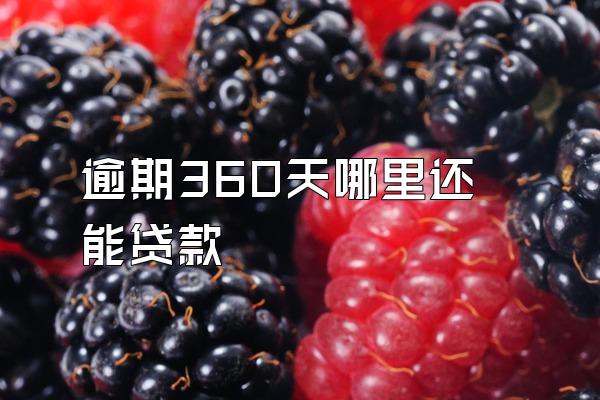 逾期360天哪里还能贷款