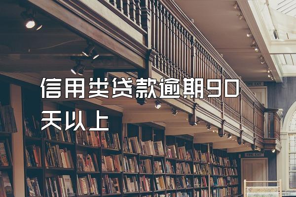 信用类贷款逾期90天以上
