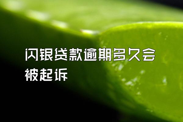 闪银贷款逾期多久会被起诉