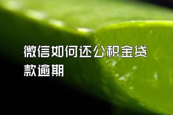 微信如何还公积金贷款逾期