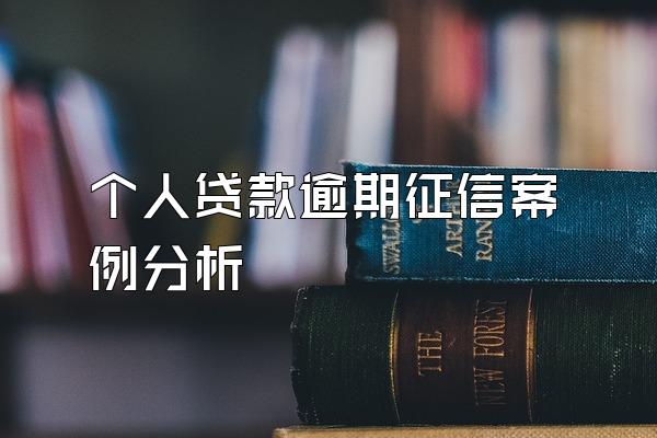 个人贷款逾期征信案例分析