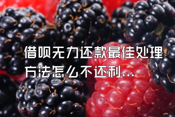 借呗无力还款最佳处理方法怎么不还利息了呢