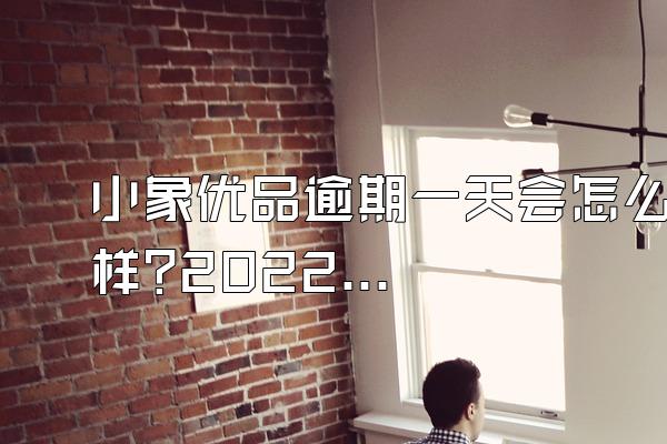 小象优品逾期一天会怎么样?2022款