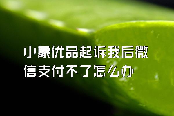 小象优品起诉我后微信支付不了怎么办