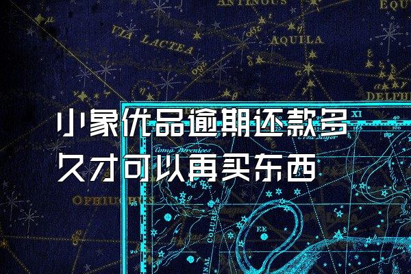 小象优品逾期还款多久才可以再买东西