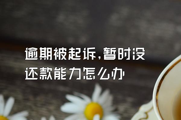 逾期被起诉,暂时没还款能力怎么办
