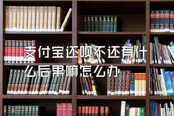 支付宝还呗不还有什么后果嘛怎么办