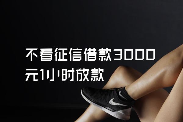 不看征信借款3000元1小时放款