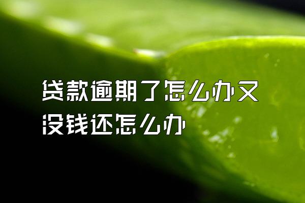 贷款逾期了怎么办又没钱还怎么办