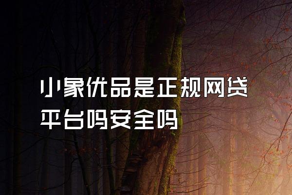 小象优品是正规网贷平台吗安全吗