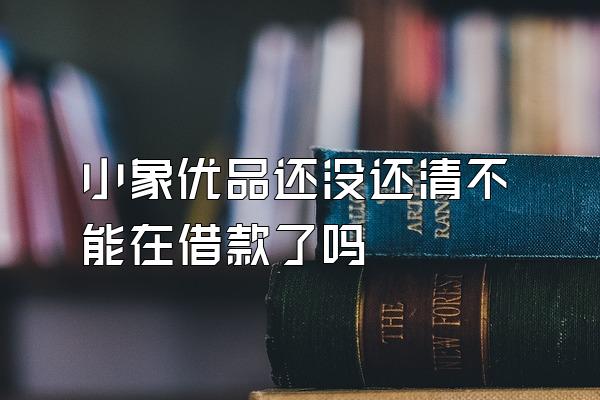 小象优品还没还清不能在借款了吗
