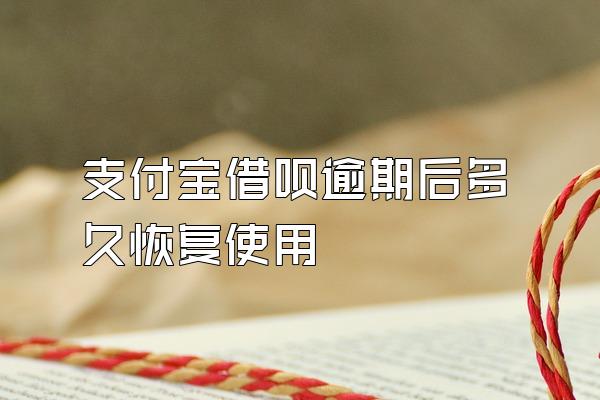 支付宝借呗逾期后多久恢复使用