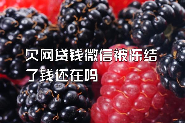 欠网贷钱微信被冻结了钱还在吗